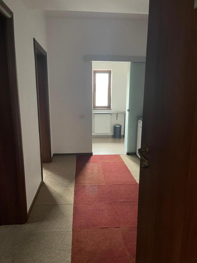 Vila Cu Trandafiri Cozy Apartments 2 Camere Bragadiru Exterior foto